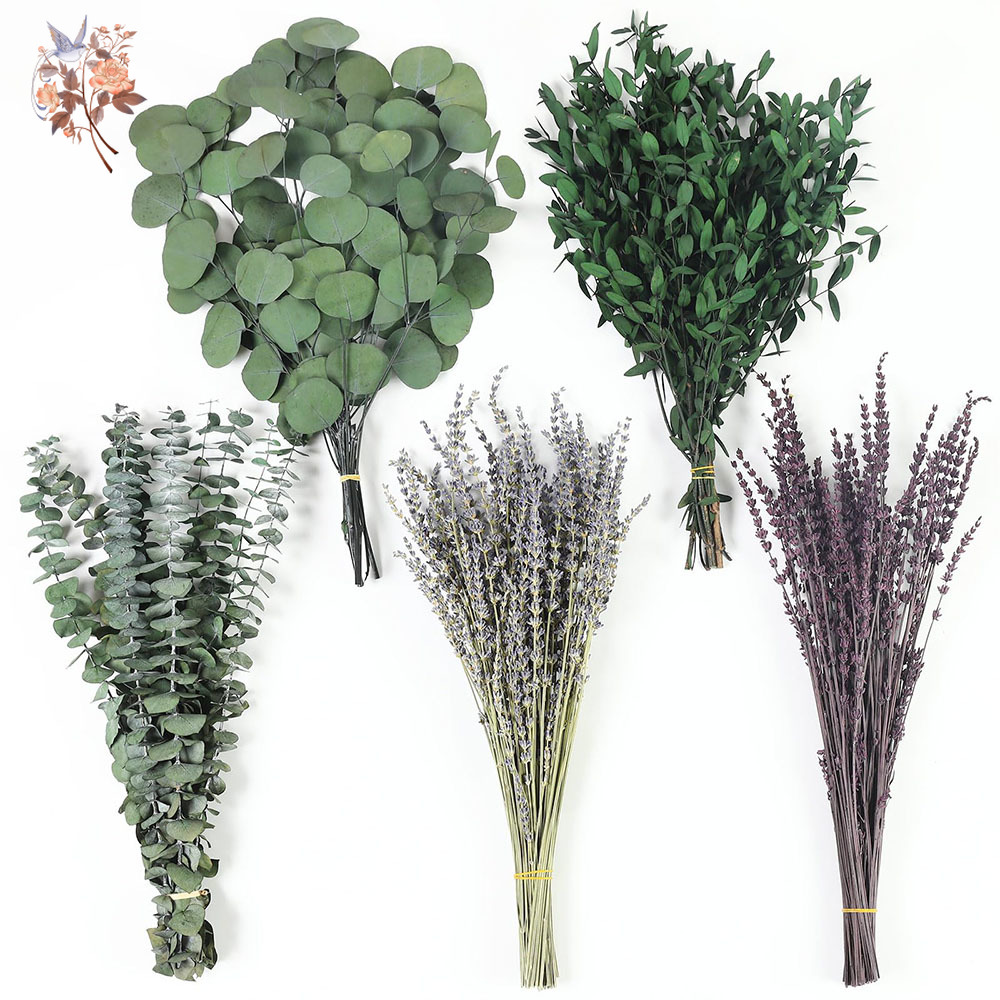Fragrance Your Home - 110 Adet Karışık Kurutulmuş Okaliptüs Yaprakları