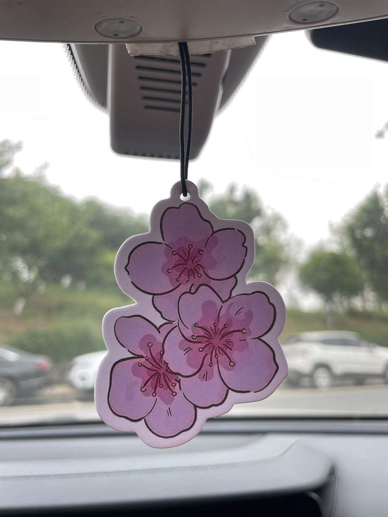 Home Fragrance Types - Sakura/Frezya Taze Kokulu Beş Yıldızlı Nötr