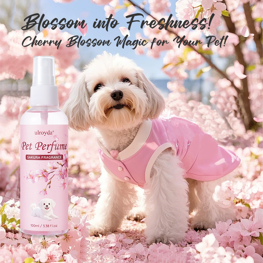 Home Spray Fragrance - Sakura Evcil Hayvan Parfümü Spreyi Uzun