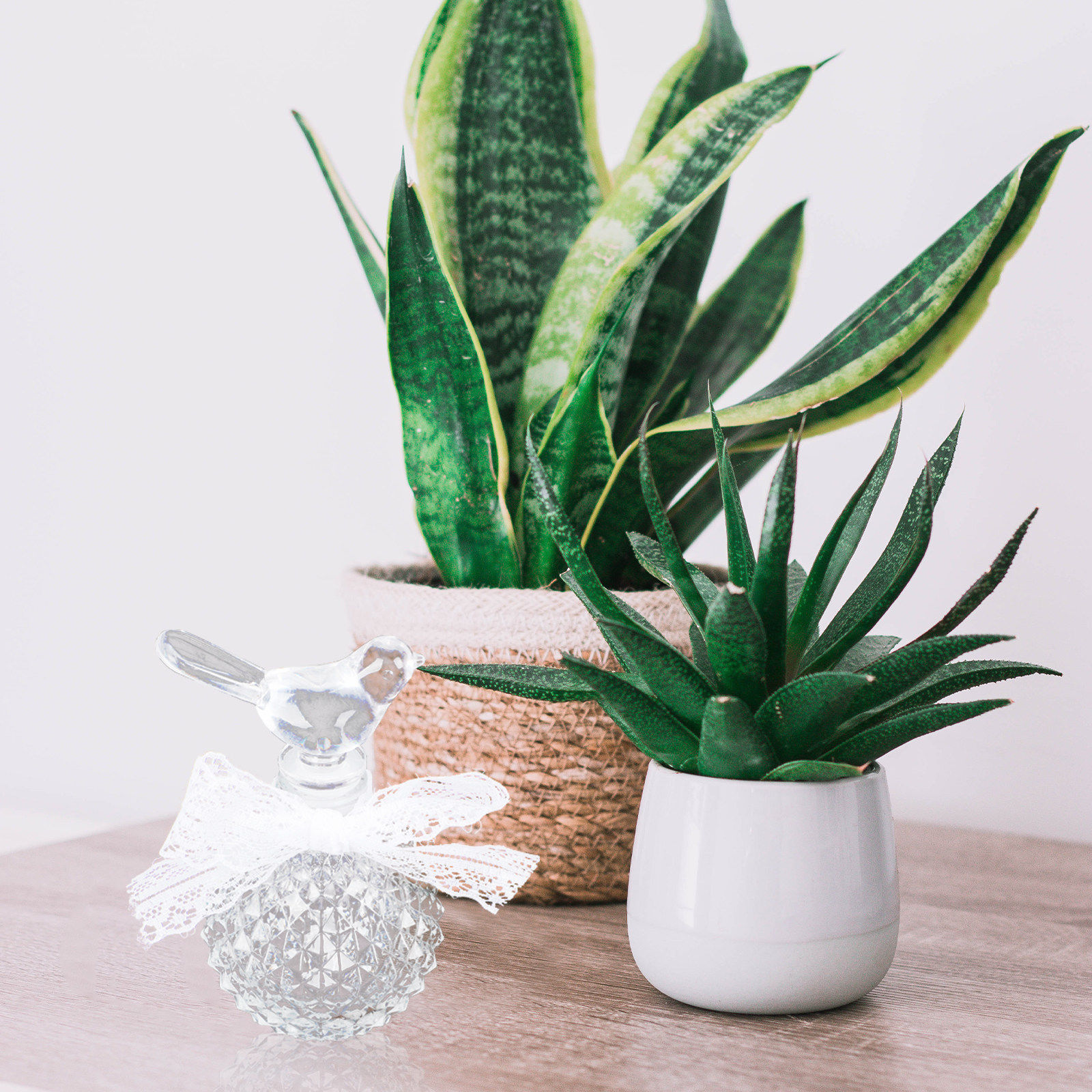 Şeffaf Kabartmalı Cam Parfüm Ş - Fragrance Home Decor incelemesi ve fiyatı