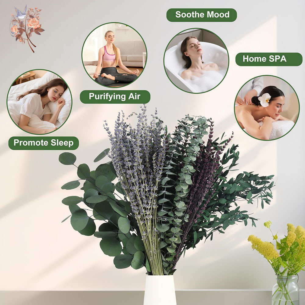 110 Adet Karışık Kurutulmuş Ok - Fragrance Your Home incelemesi ve fiyatı