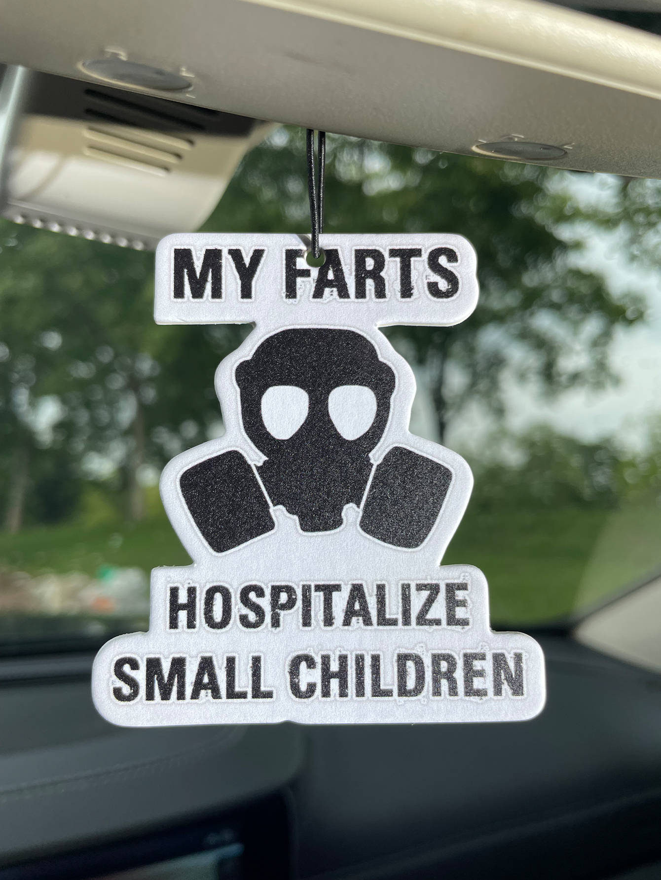 My Farts Hospita/Hilton Taze K - Home Fragrance Types incelemesi ve fiyatı