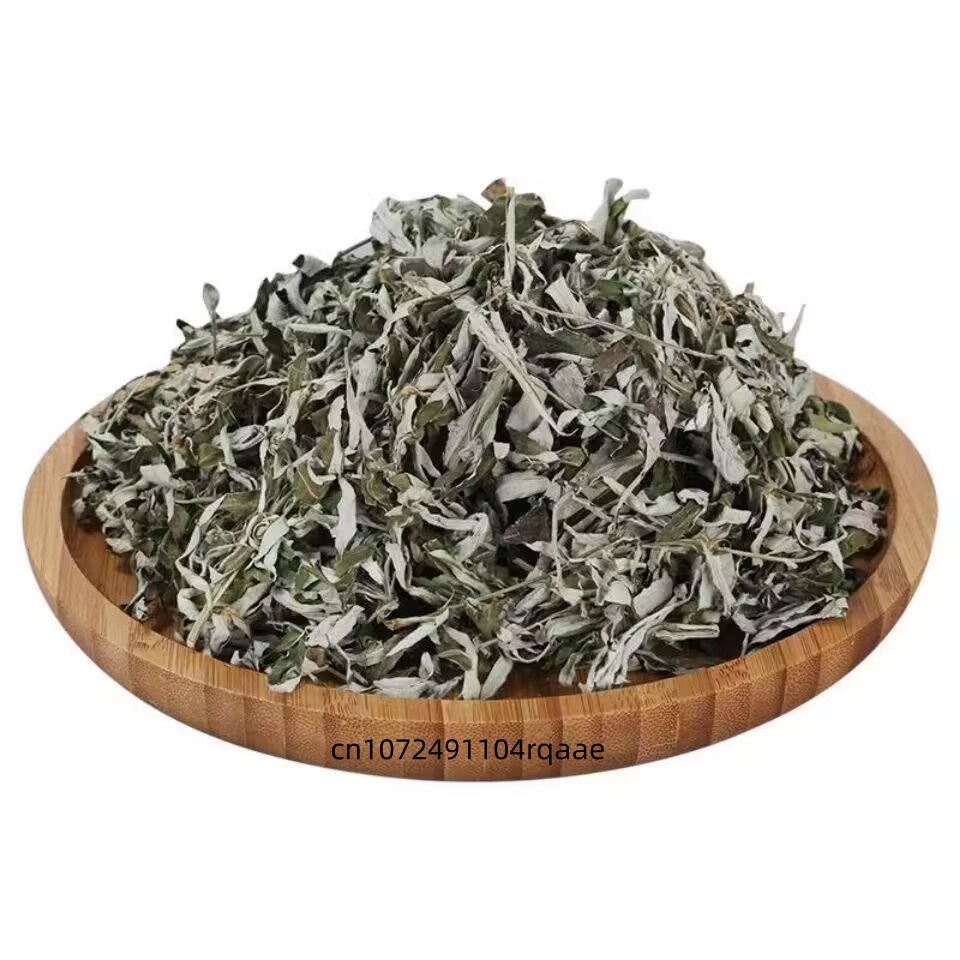 Organik Kurutulmuş Artemisia A - Fragrance Home Decor incelemesi ve fiyatı