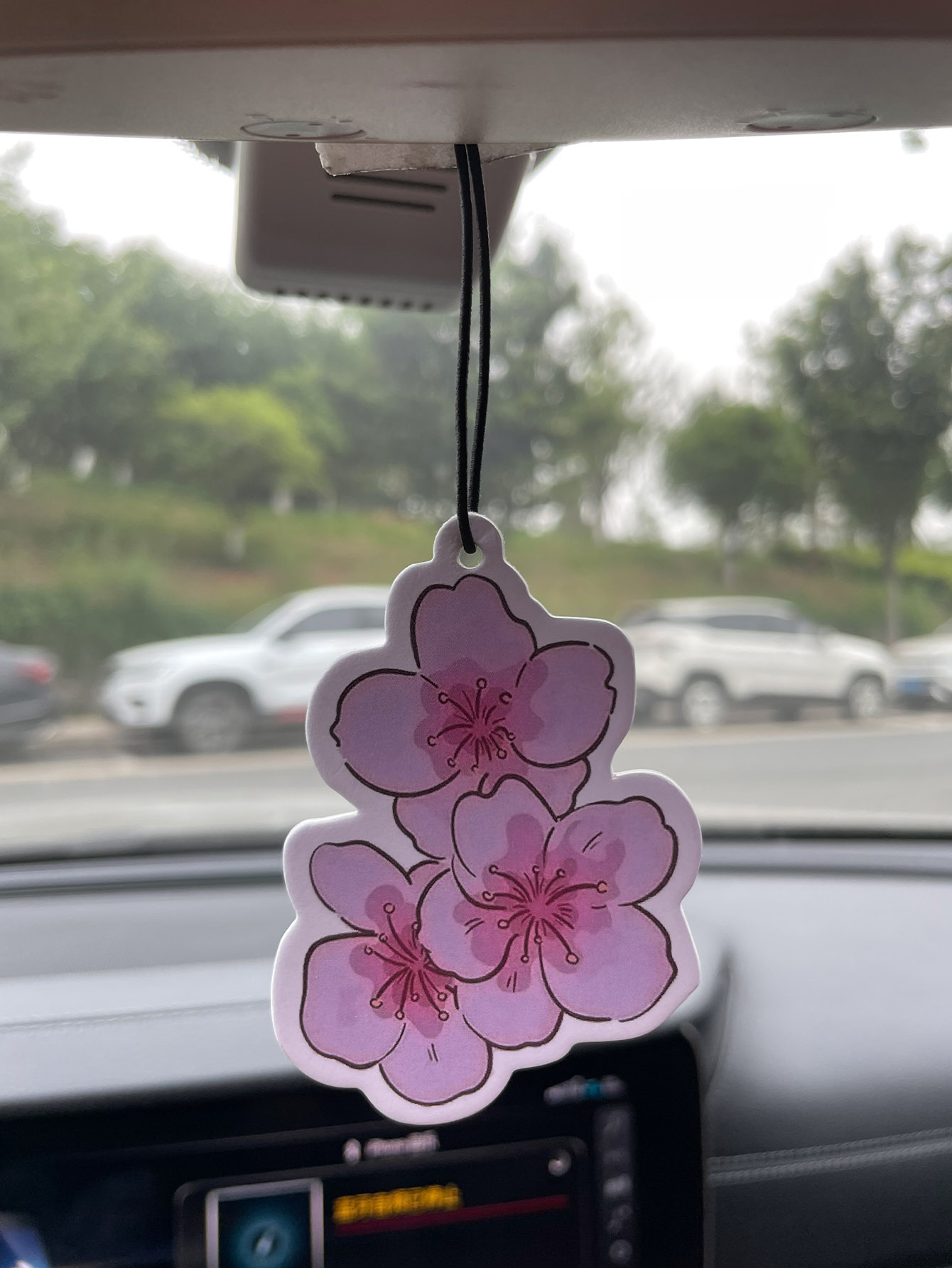 Sakura/Frezya Taze Kokulu Beş  - Home Fragrance Types incelemesi ve fiyatı