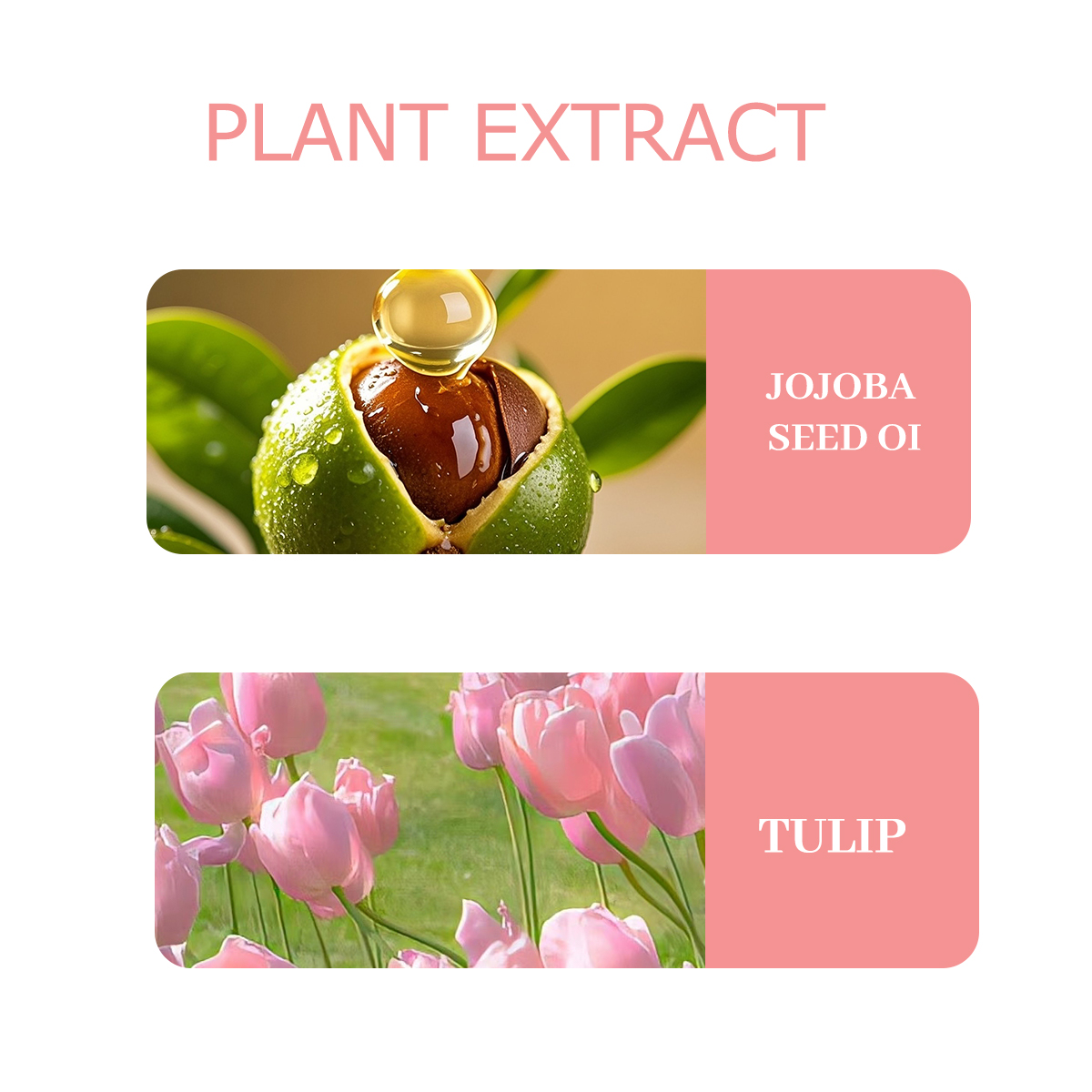 NIVAVIN 30ml/60ml/100ml Lale E - Home Fragrance Co incelemesi ve fiyatı